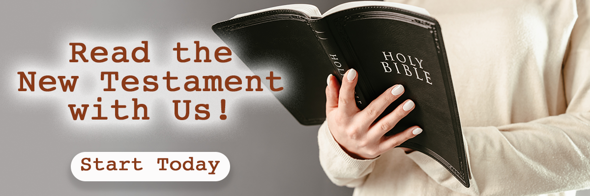 Read the New Testament with us!